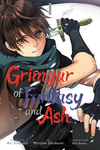 Grimgar Of Fantasy & Ash Gn Vol 01 (C: 1-1-0)