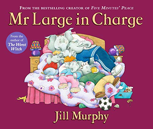 Mr Large In Charge: 1 (Large Family)