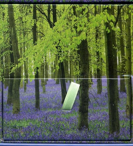 Memo Block - Bluebells : High-quality block of notepapers in a presentation cube box with built-in drawer