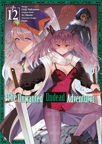 Manga cover: two female adventurers with swords, volume 12.