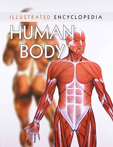Human Body