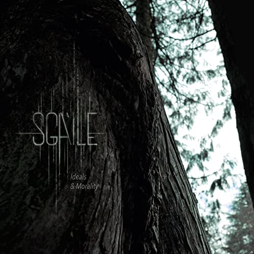 Vinyl album cover featuring a close-up of a textured tree trunk.