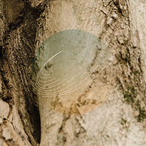CD cover with textured tree bark and abstract white lines.