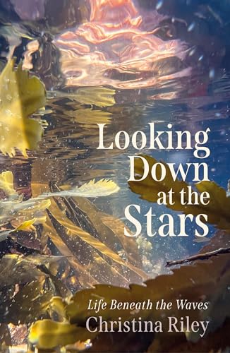 Looking Down at the Stars : Life beneath the waves