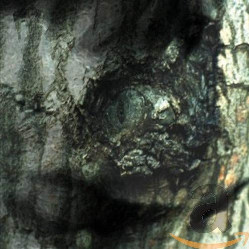 Dark, textured album cover with a shadowed face and gold arc.