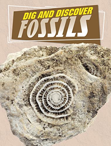 Dig and Discover Fossils (Rock Your World)