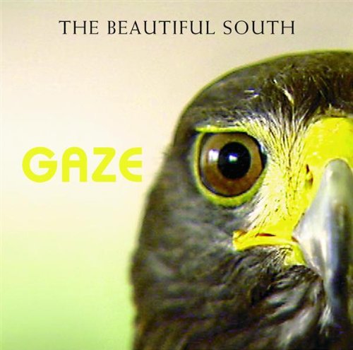 CD cover for The Beautiful South’s “Gaze” featuring a bird of prey.
