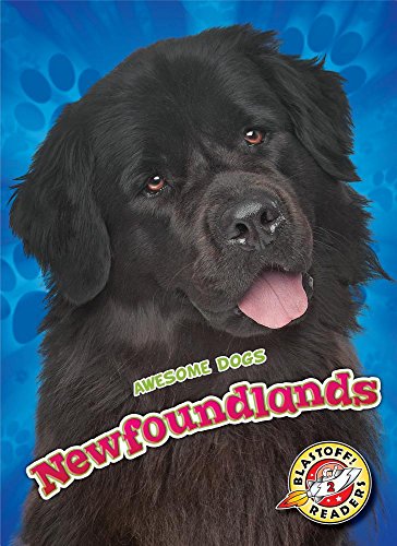 Newfoundlands (Awesome Dogs)