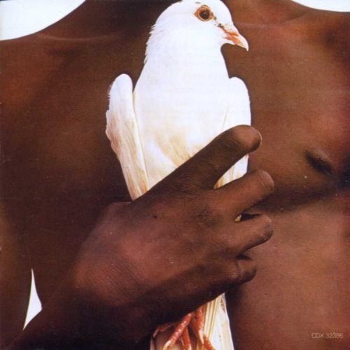 A person with dark skin holds a white dove against their bare chest.