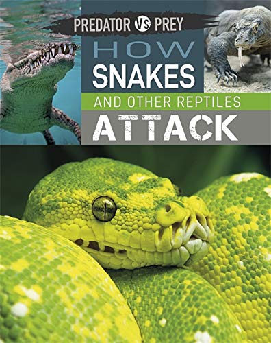 How Snakes and other Reptiles Attack (Predator vs Prey)