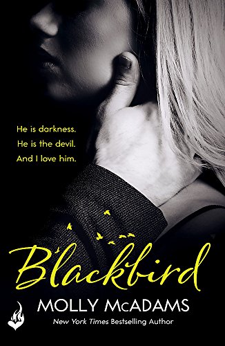 Blackbird: A story of true love against the odds (Redemption Series)