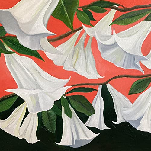 Painting of white trumpet-shaped flowers with green leaves on a red background.