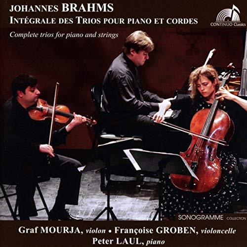 Classical musicians performing: a pianist, violinist, and cellist in concert.