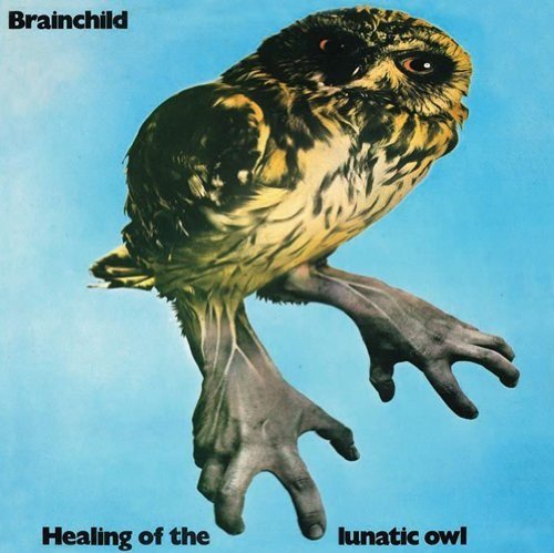 Owl with human hands on a light blue background, album cover.