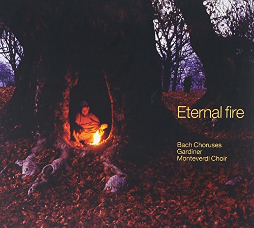 CD cover: person by a campfire in a forest, text “Eternal Fire”.