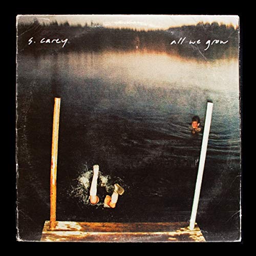 Album cover: a person diving into dark water from a wooden platform.
