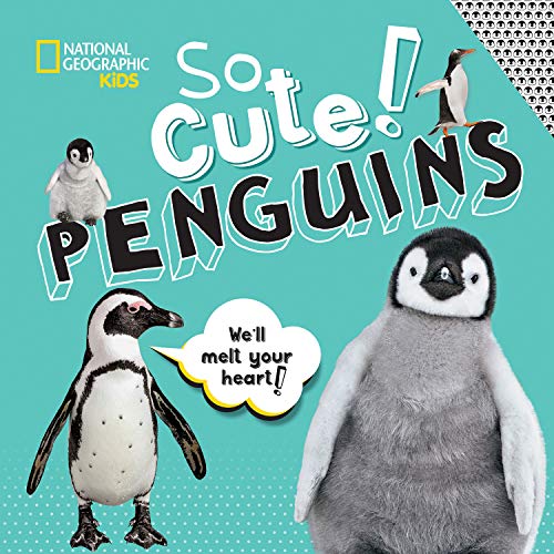 Book cover featuring three adorable penguin chicks and a young penguin.