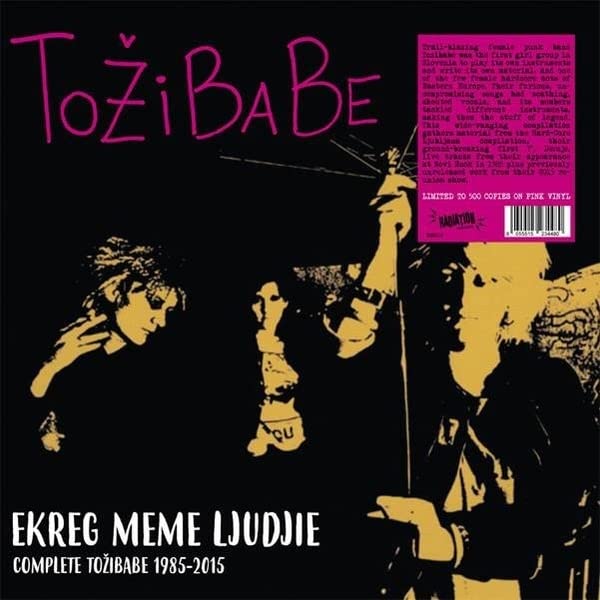 Pink vinyl record cover with sketched figures and band name "Tozibabe".