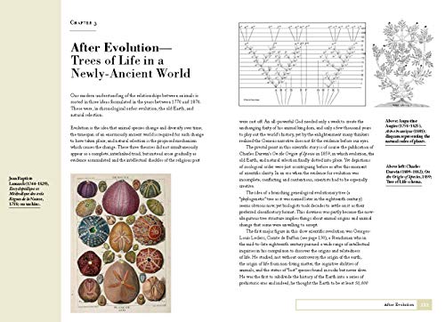 How Zoologists Organize Things : The art of classification