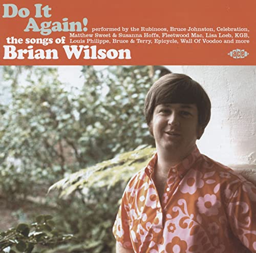 CD cover for "Do It Again! The Songs of Brian Wilson" featuring a young man.