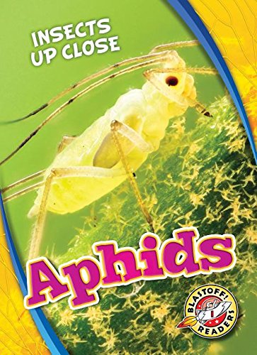 Aphids (Insects Up Close)