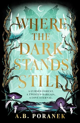 Where the Dark Stands Still