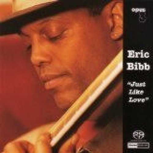 Eric Bibb album cover featuring a portrait of the artist with a guitar.