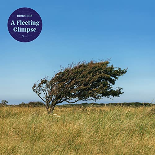 CD cover: lone windswept tree in a golden grassy landscape.
