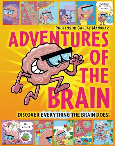 Adventures of the Brain : What the brain does and how it works
