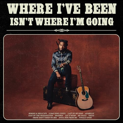 Shaboozey album cover: artist seated with guitar and vintage luggage.