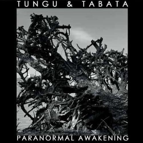 CD cover for "Paranormal Awakening" by Tungu & Tabata, with tangled branches.