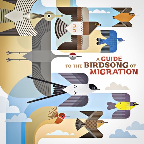 Stylized album cover featuring multiple birds in geometric designs.