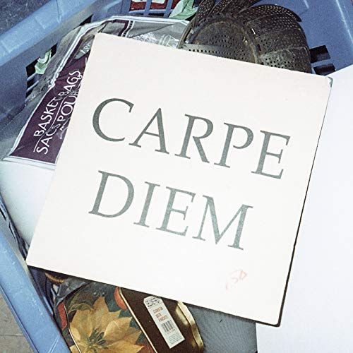 Carpe Diem" vinyl record sleeve resting amongst other items.