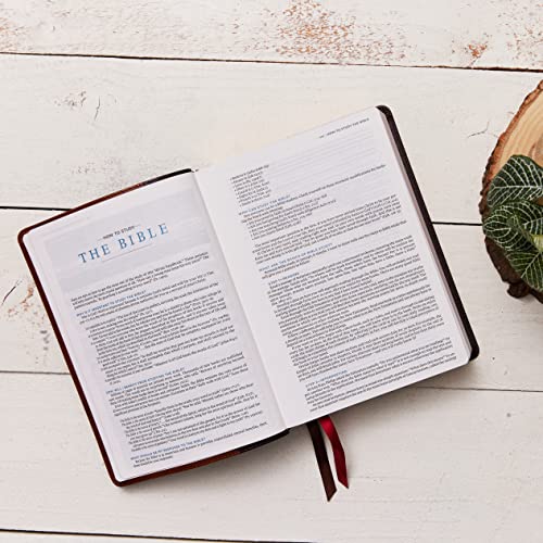 ESV, MacArthur Study Bible, Brown Leathersoft, Thumb Indexed : Unleashing God's Truth One Verse at a Time (Holy Bible, English Standard Version)
