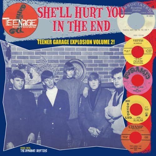 Vinyl record cover featuring a 1960s band and colorful record labels.