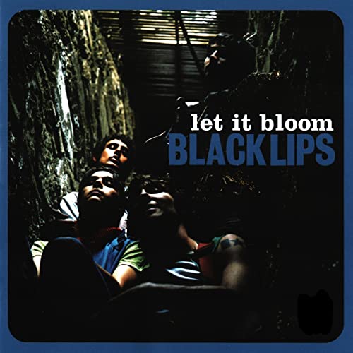 Black Lips album “Let It Bloom” vinyl record with colorful floral cover art.