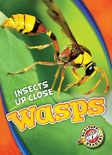 Wasps (Insects Up Close)