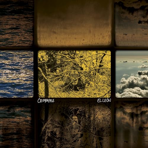 CD cover with a lion’s face framed by textured, grid-like images.