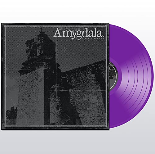 Purple vinyl record with black and gray album cover featuring a tower.