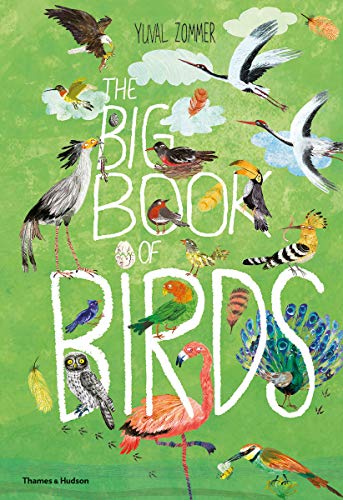 The Big Book of Birds (The Big Book series)