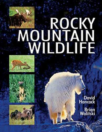 Rocky Mountain Wildlife : Ecology, Behavior, Identification & Distribution