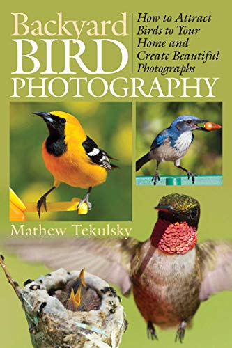 Backyard Bird Photography: How to Attract Birds to Your Home