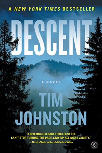 Descent : A Novel