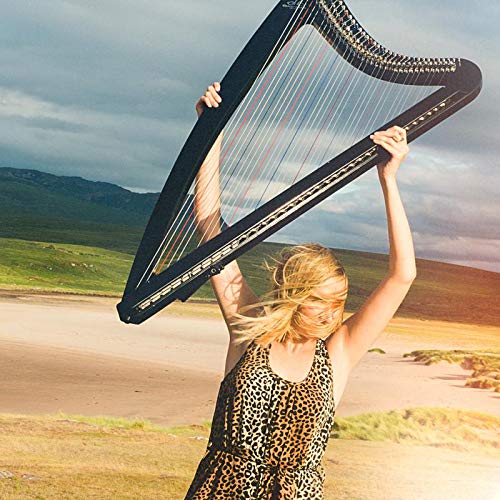 Woman holding a large black harp outdoors against a cloudy sky.