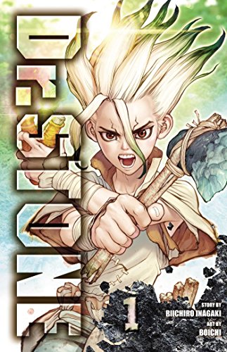 Dr. Stone Vol 1: Stone World: Volume 1