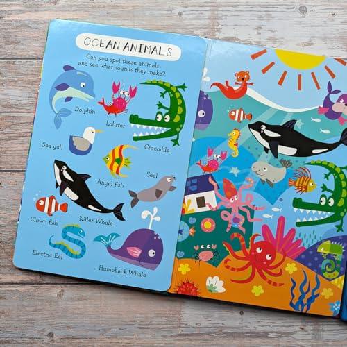 My First Look and Find Sound Book : Animals