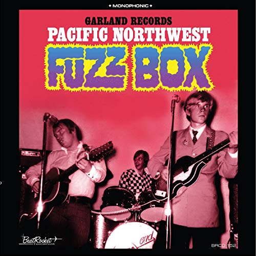 CD cover featuring a 1960s rock band performing on stage.