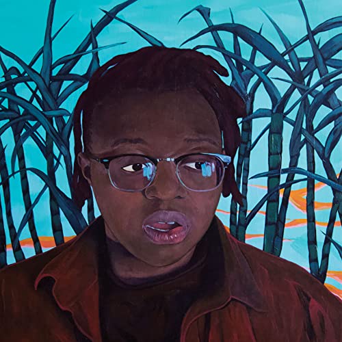 Portrait of a Black man with dreadlocks and glasses, painted style.