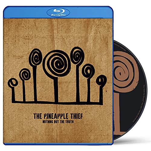 Blu-ray case for "The Pineapple Thief - Nothing But The Truth" with abstract art.