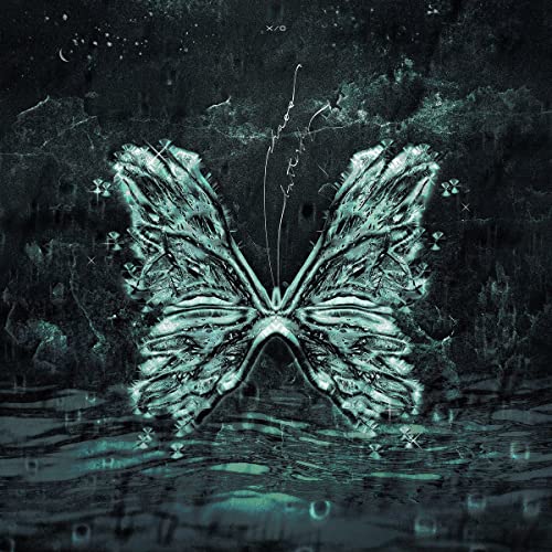 Dark teal butterfly with textured wings against a mottled, shadowy background.